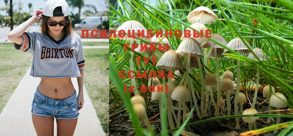 прущие крисы Липки