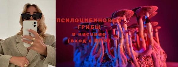 сатива Лихославль