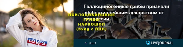 гашик Магадан